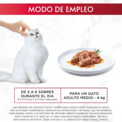 Purina Gourmet Mon Petit Seleção de Peixes em molho