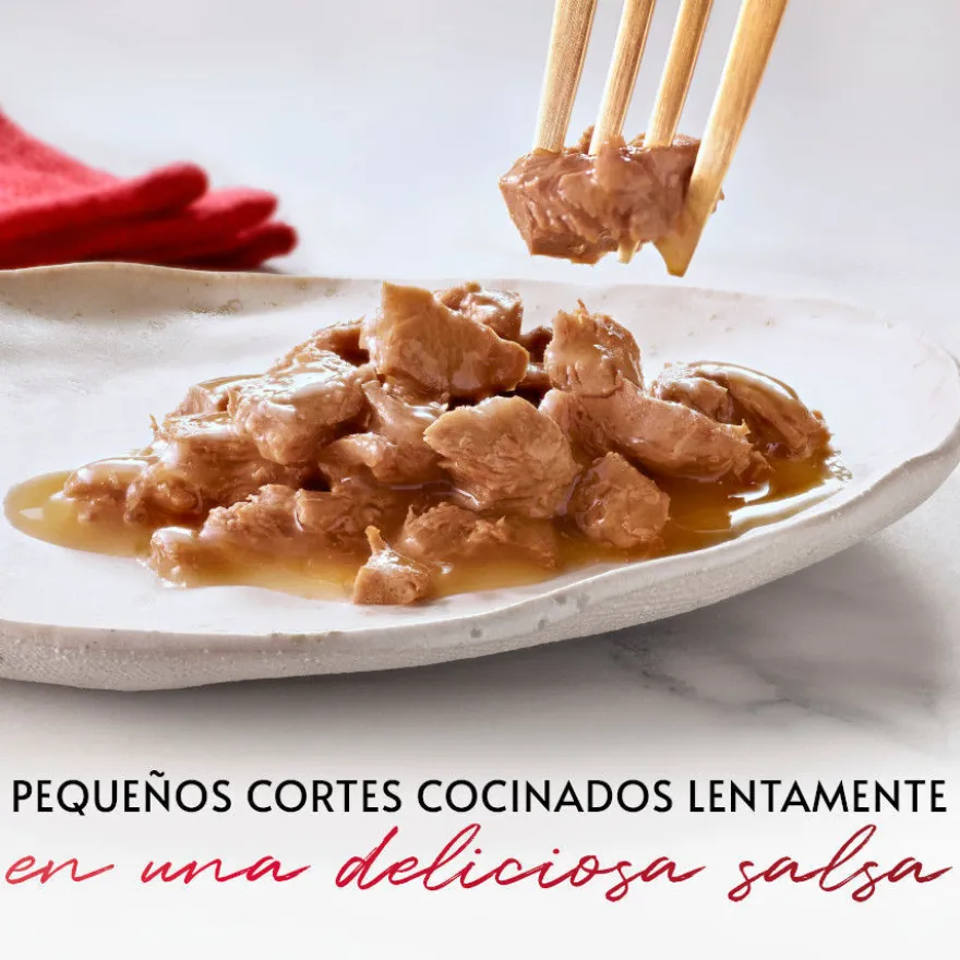 Purina Gourmet Mon Petit Seleção Peixes em molho para gatos