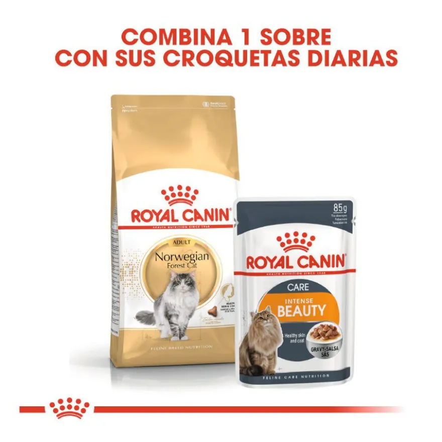 Royal Canin Adult Bosques da Noruega Ração para gatos