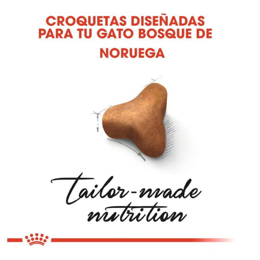 Royal Canin Adult Bosques da Noruega Ração para gatos