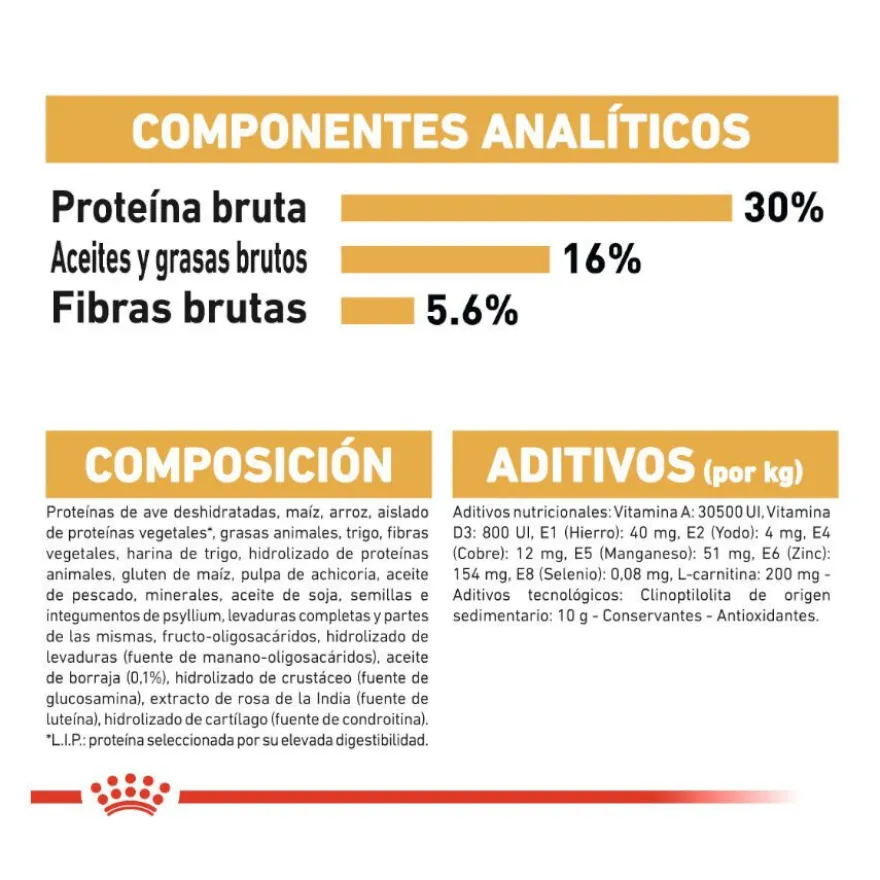 Royal Canin Adult Bosques da Noruega Ração para gatos