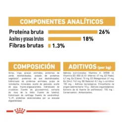 Royal Canin Adult Buldogue Francês ração para cães