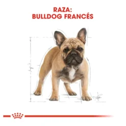 Royal Canin Adult Buldogue Francês ração para cães