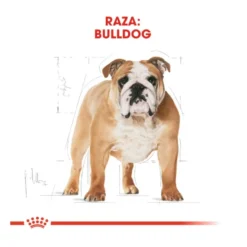 Royal Canin Adult Bulldog ração para cães de raça