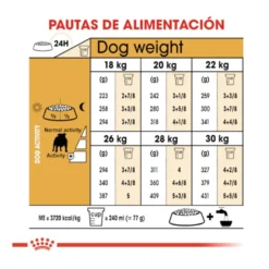 Royal Canin Adult Bulldog ração para cães de raça