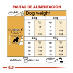 Royal Canin Adult Cavalier King Charles ração para cães
