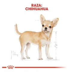 Royal Canin Adult Chihuahua patê em saquetas para cães