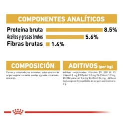 Royal Canin Adult Chihuahua patê em saquetas para cães