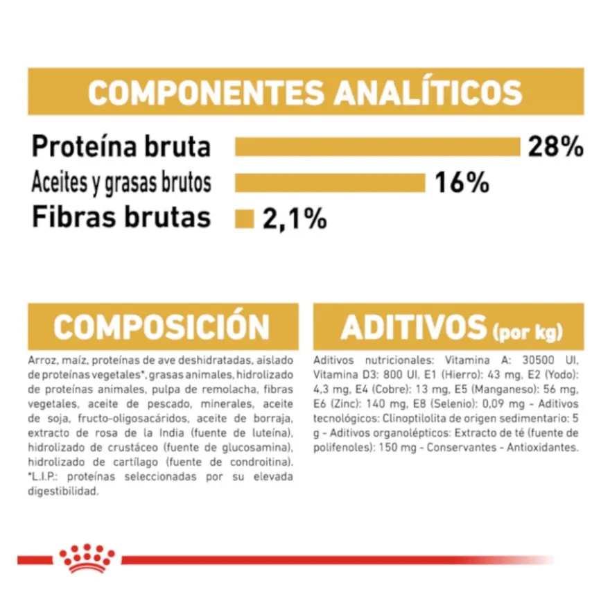 Royal Canin Adult Chihuahua ração para cães