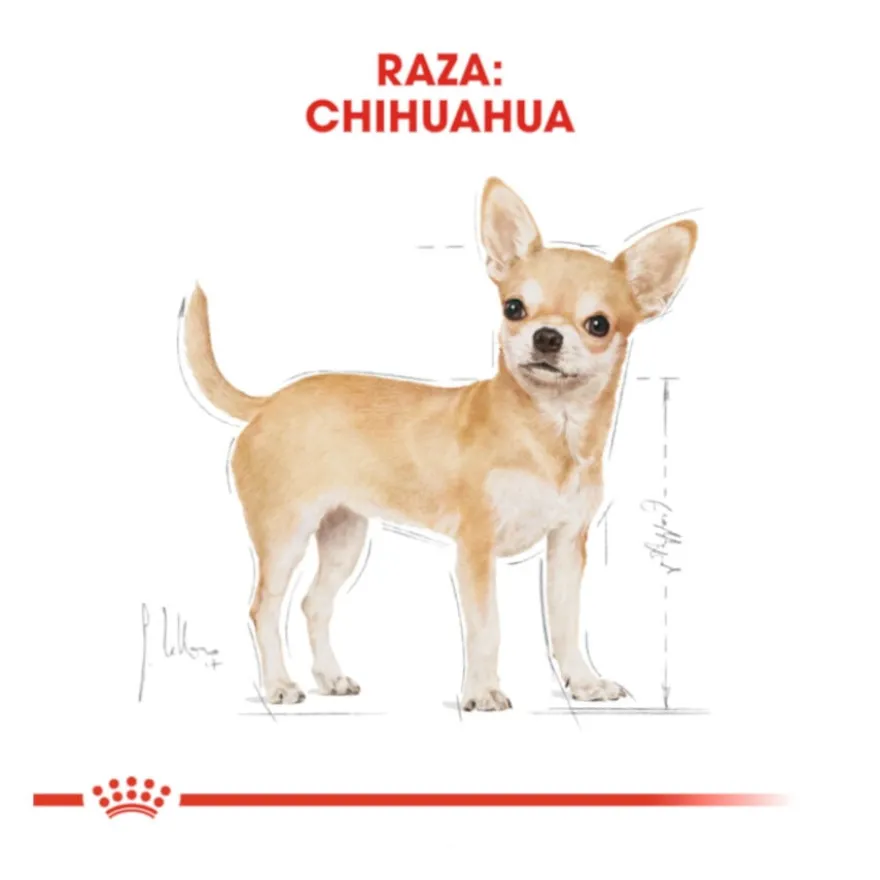 Royal Canin Adult Chihuahua ração para cães