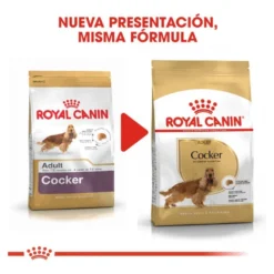 Royal Canin Adult Cocker ração para cães