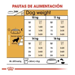Royal Canin Adult Cocker ração para cães