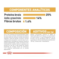 Royal Canin Adult Cocker ração para cães