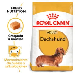 Royal Canin Adult Dachshund ração para cães