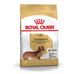 Royal Canin Adult Dachshund ração para cães
