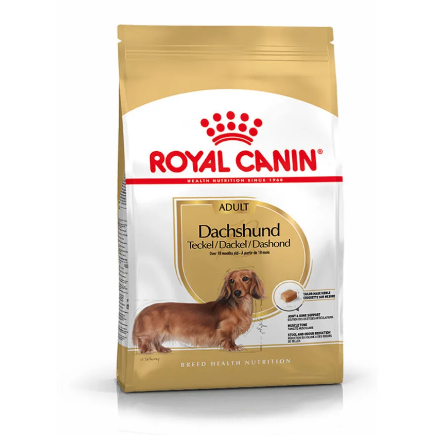 Royal Canin Adult Dachshund ração para cães