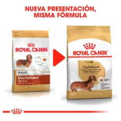 Royal Canin Adult Dachshund ração para cães