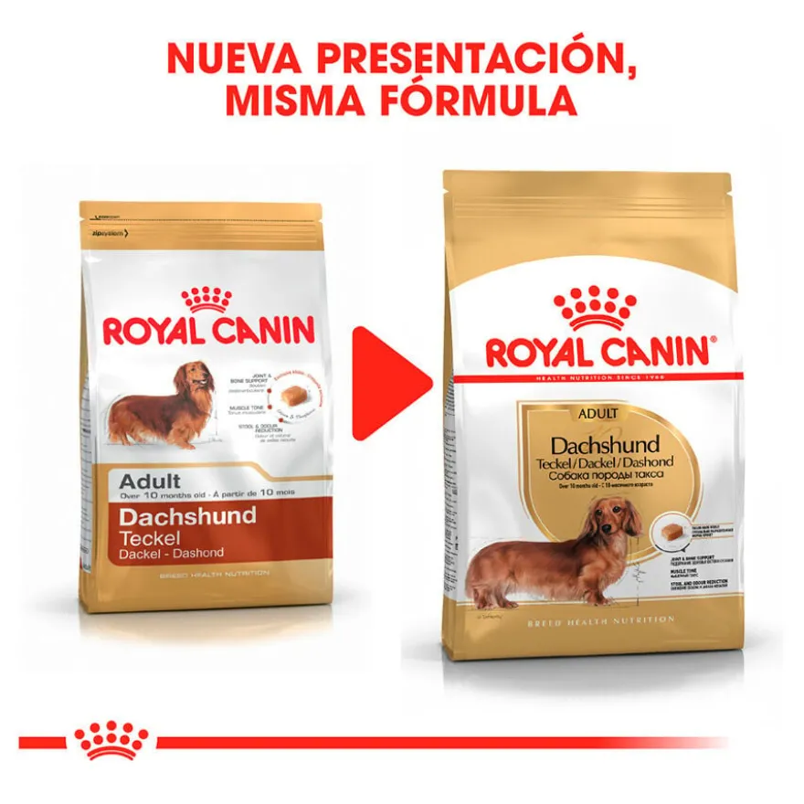 Royal Canin Adult Dachshund ração para cães