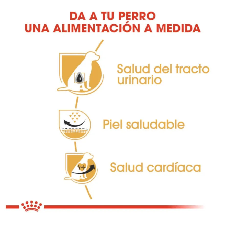 Royal Canin Adult Dálmata ração para cães