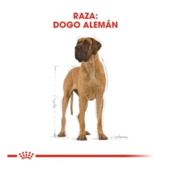 Royal Canin Adult Dogue Alemão ração para cães