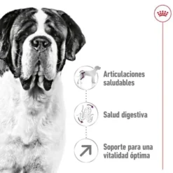 Royal Canin Adult Giant ração para cães