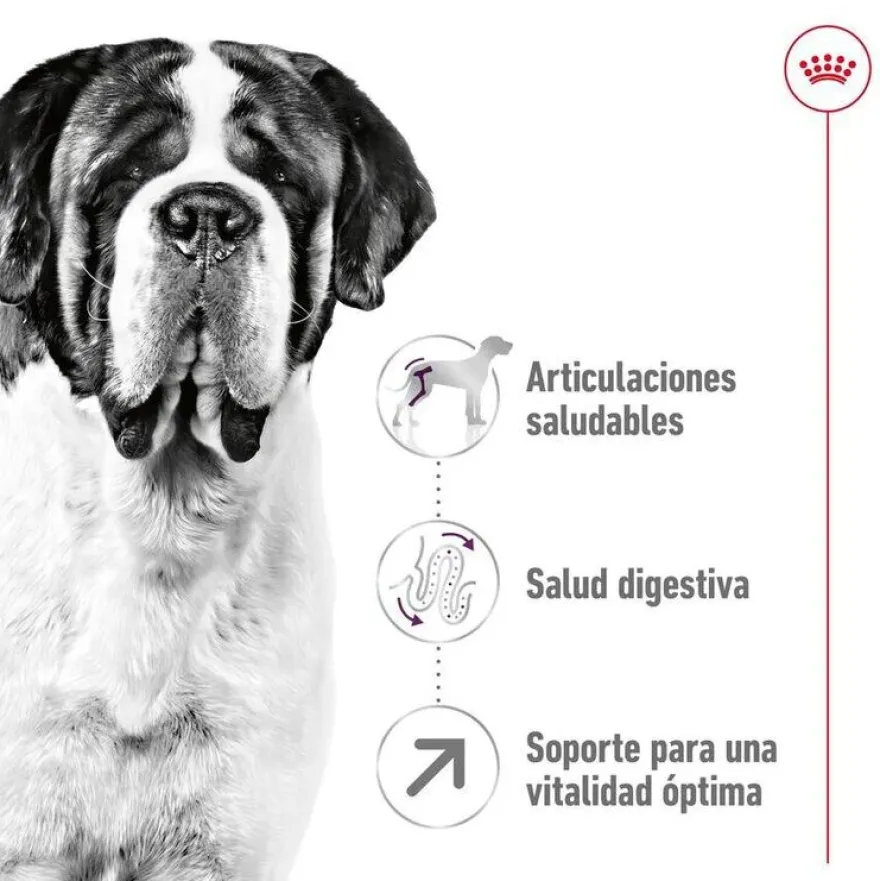 Royal Canin Adult Giant ração para cães