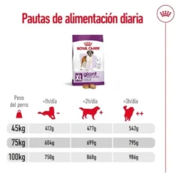 Royal Canin Adult Giant ração para cães