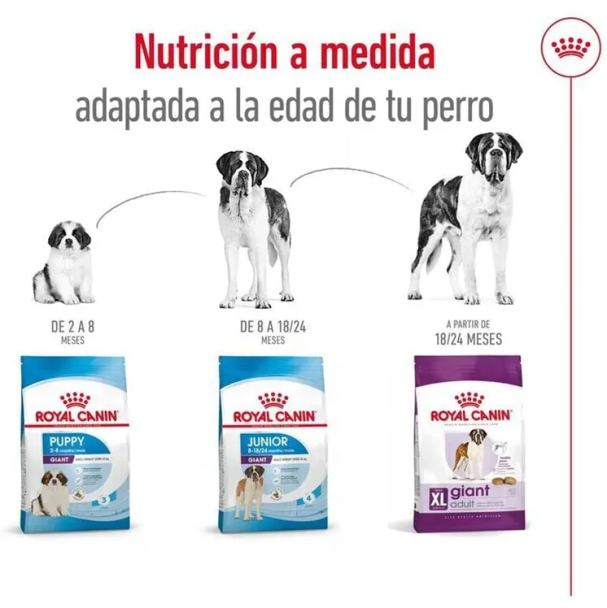 Royal Canin Adult Giant ração para cães