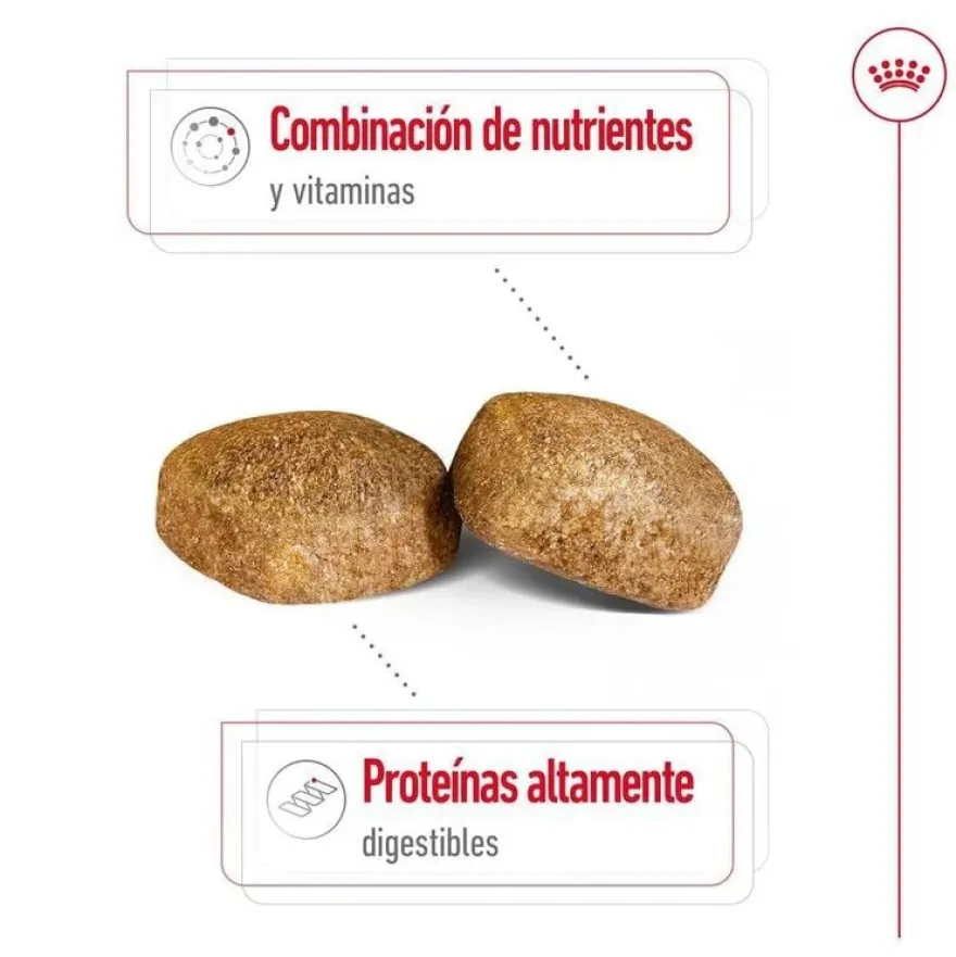Royal Canin Adult Giant ração para cães