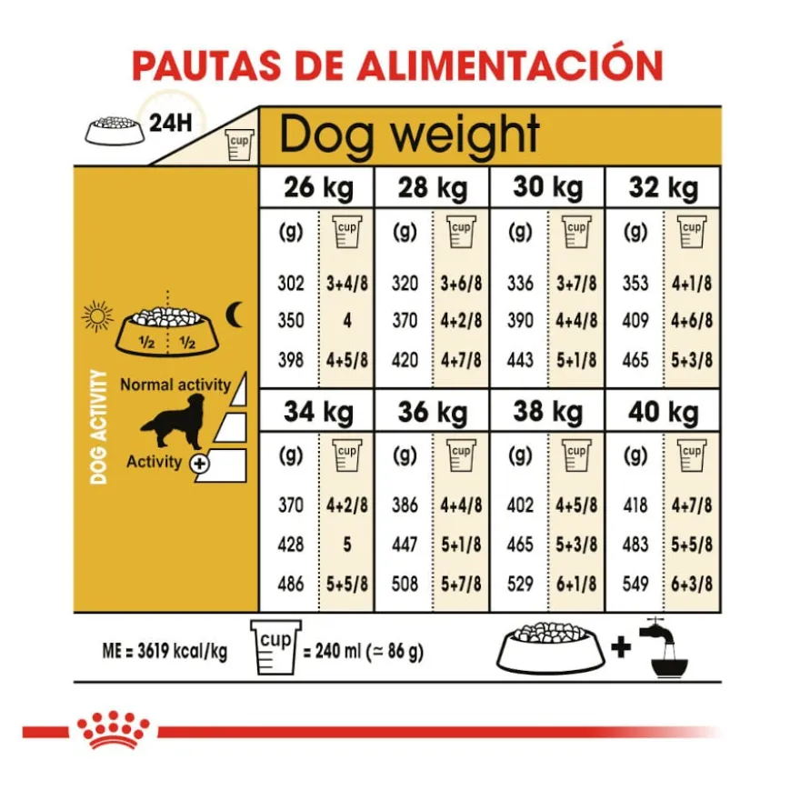 Royal Canin Adult Golden Retriever ração para cães