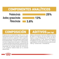Royal Canin Adult Golden Retriever ração para cães