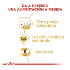 Royal Canin Adult Golden Retriever ração para cães