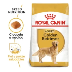 Royal Canin Adult Golden Retriever ração para cães