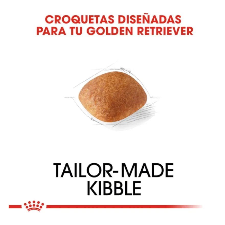 Royal Canin Adult Golden Retriever ração para cães