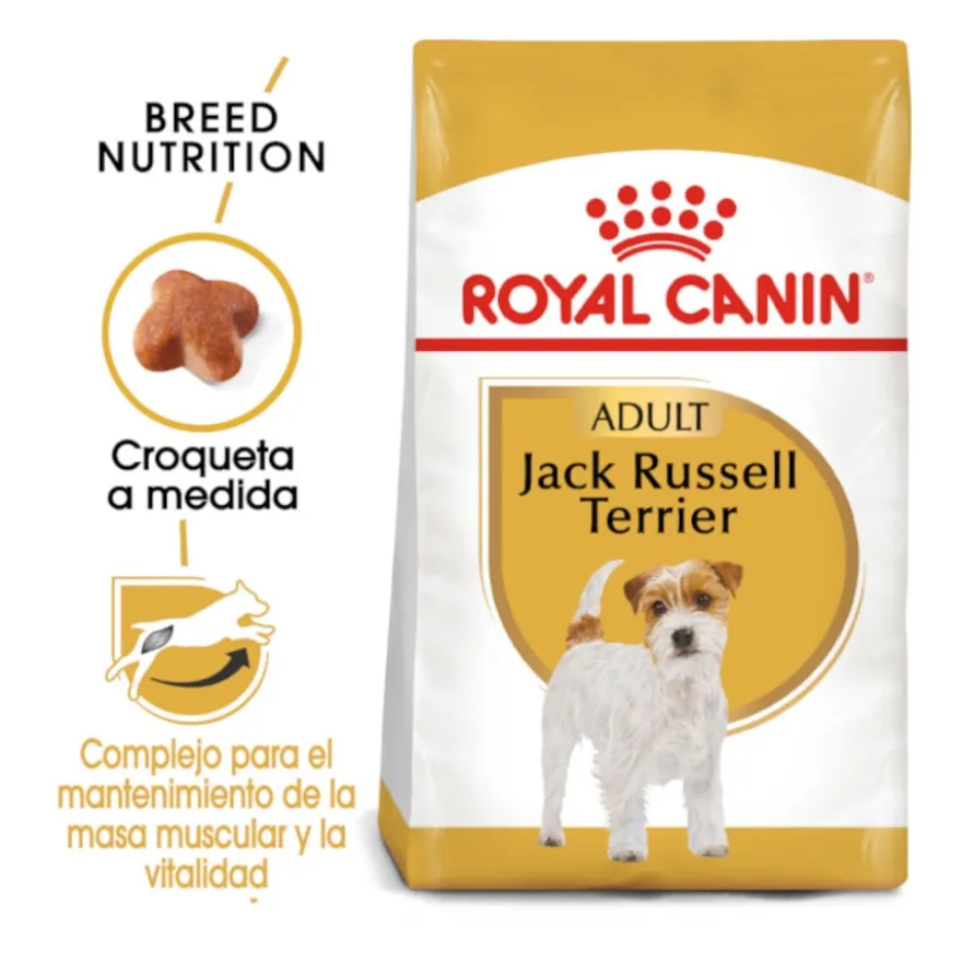 Royal Canin Adult Jack Russell Terrier ração para cães