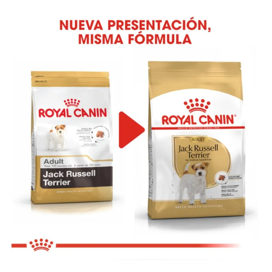 Royal Canin Adult Jack Russell Terrier ração para cães
