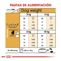 Royal Canin Adult Jack Russell Terrier ração para cães
