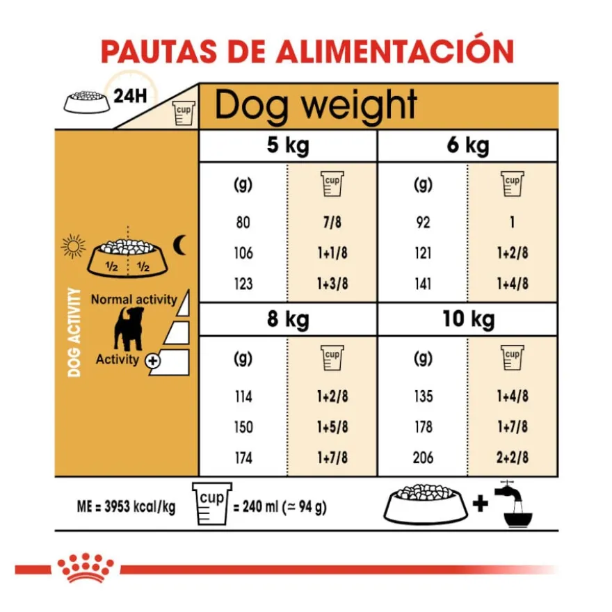 Royal Canin Adult Jack Russell Terrier ração para cães
