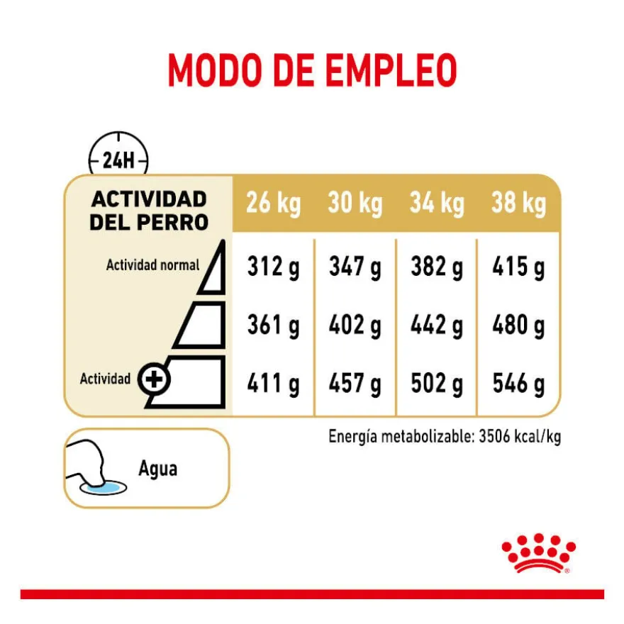 Royal Canin Adult 5+ Labrador ração para cães
