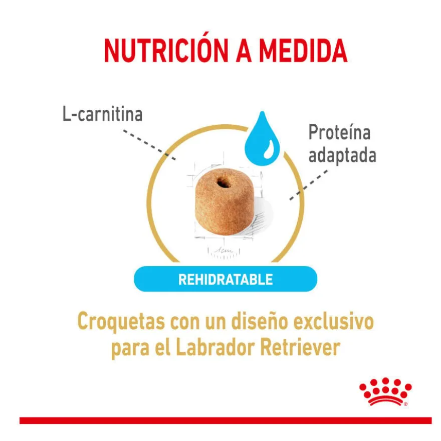 Royal Canin Adult 5+ Labrador ração para cães