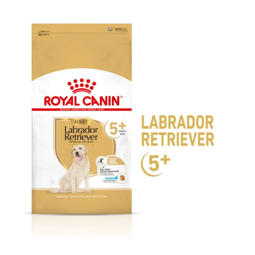 Royal Canin Adult 5+ Labrador ração para cães
