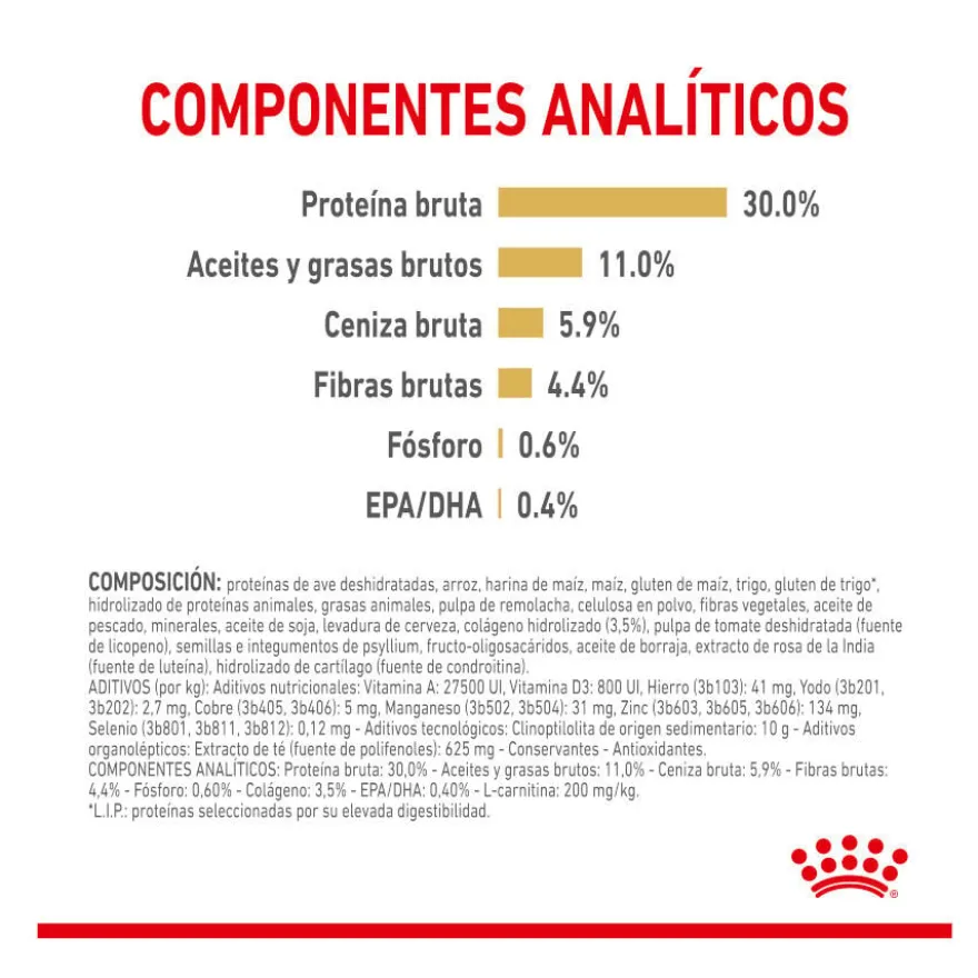 Royal Canin Adult 5+ Labrador ração para cães