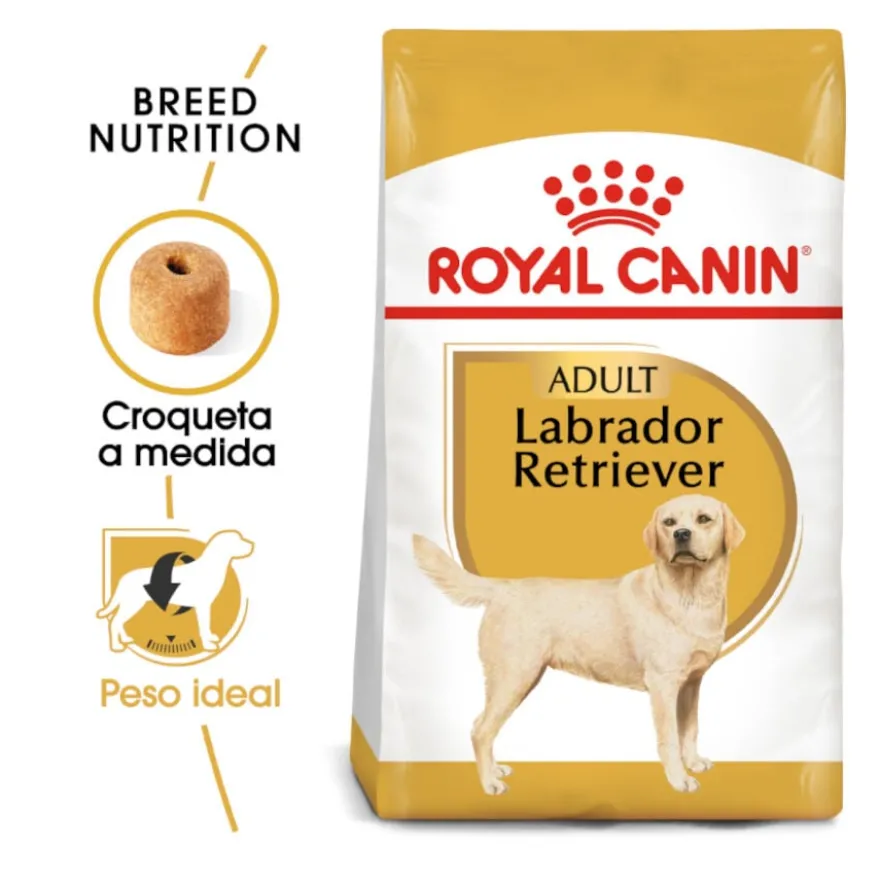 Royal Canin Adult Labrador Retriever ração para cães