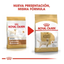 Royal Canin Adult Labrador Retriever ração para cães