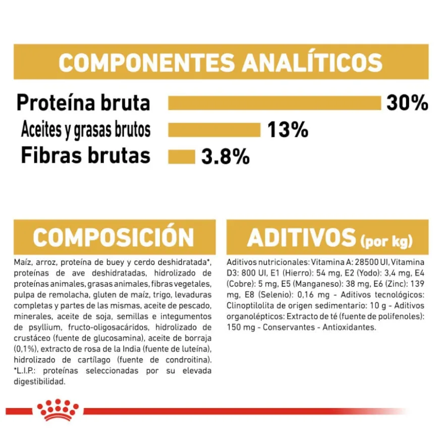 Royal Canin Adult Labrador Retriever ração para cães