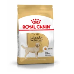 Royal Canin Adult Labrador Retriever ração para cães