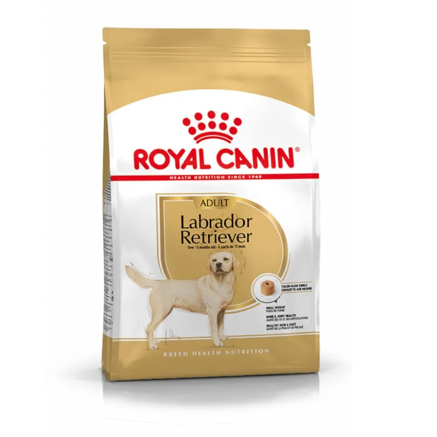 Royal Canin Adult Labrador Retriever ração para cães
