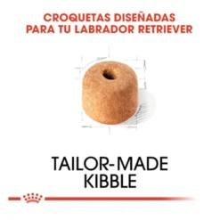 Royal Canin Adult Labrador Retriever ração para cães