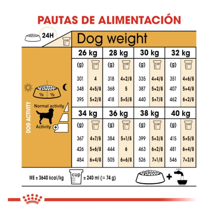 Royal Canin Adult Labrador Retriever ração para cães
