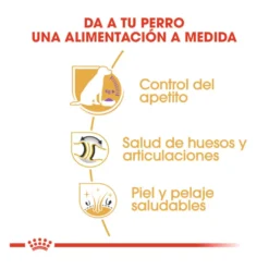 Royal Canin Adult Labrador Sterilised ração para cães